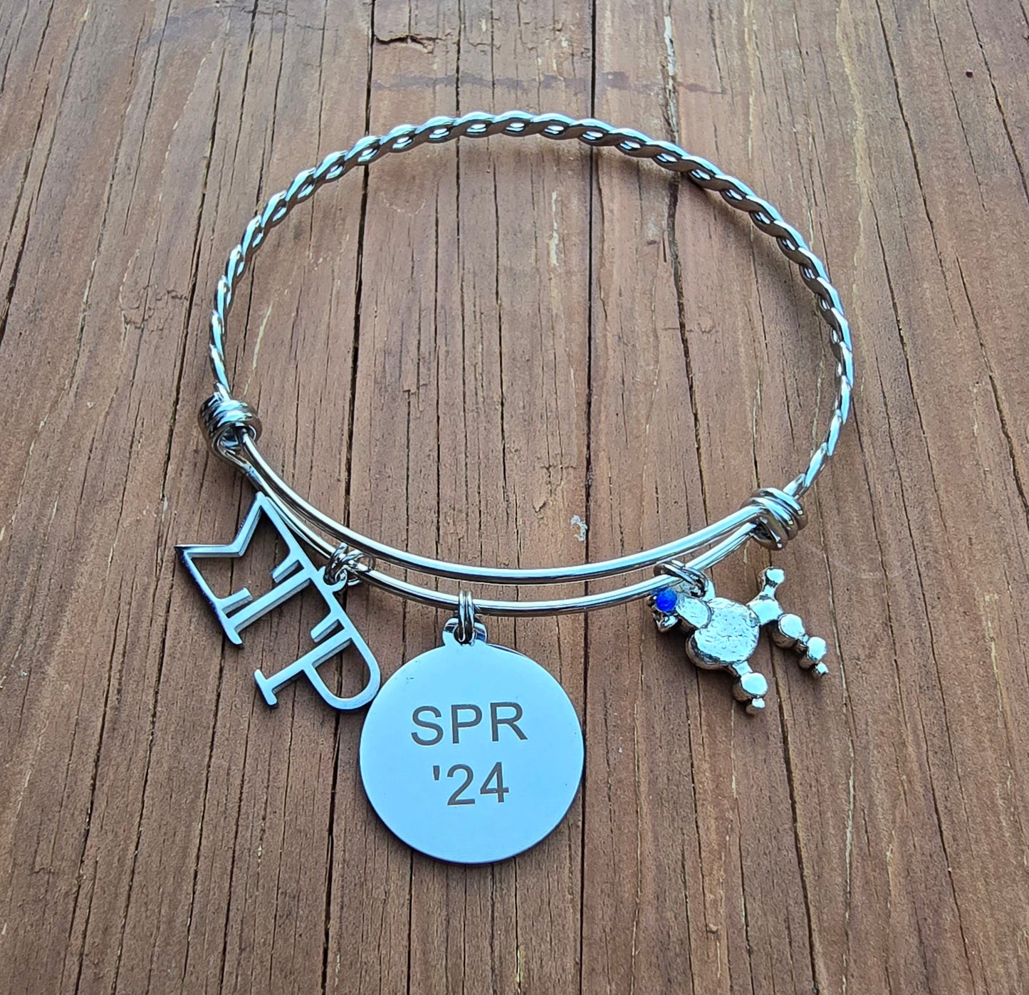 Sigma Gamma Rho Charm Bracelet